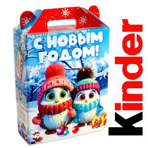 Детский подарок на Новый Год в жестяной упаковке весом 830 грамм по цене 3297 руб в Мурманске